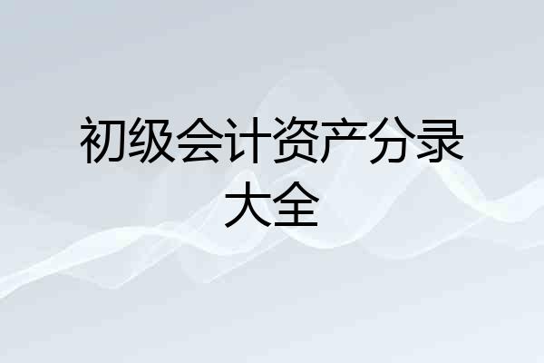 初级会计资产分录大全