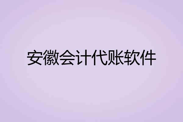 安徽会计代账软件