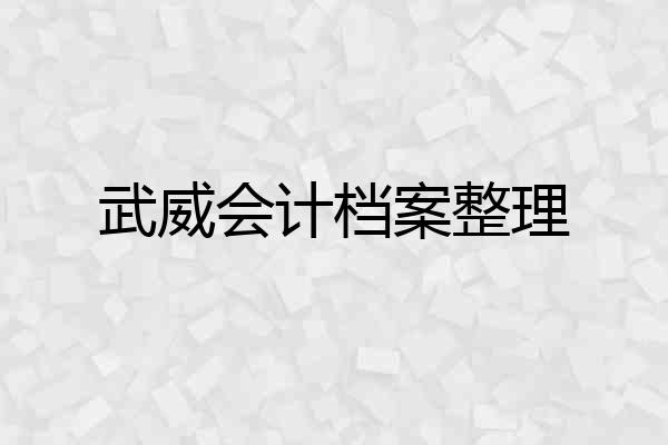 武威会计档案整理