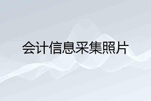 会计信息采集照片