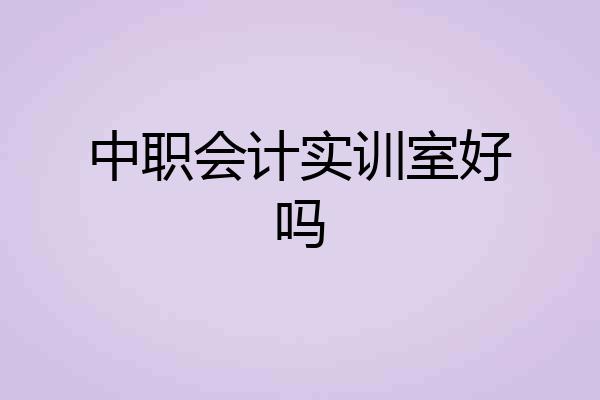 中职会计实训室好吗