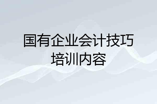 国有企业会计技巧培训内容