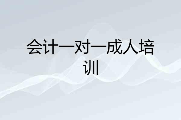 会计一对一成人培训