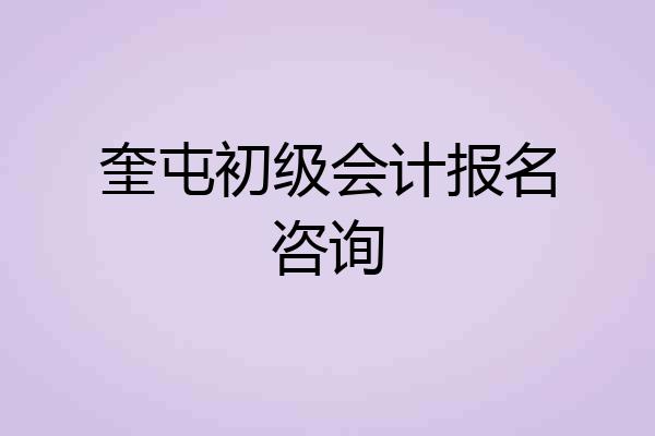 奎屯初级会计报名咨询