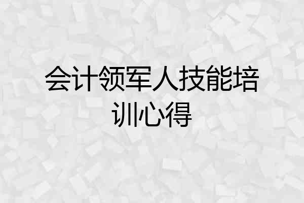 会计领军人技能培训心得