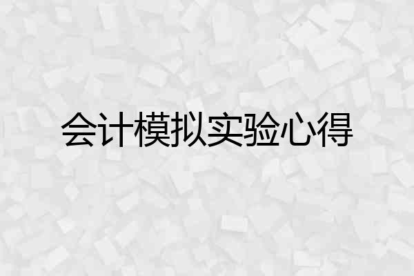 会计模拟实验心得