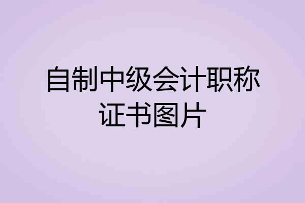自制中级会计职称证书图片