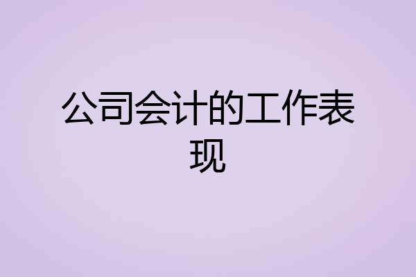 公司会计的工作表现