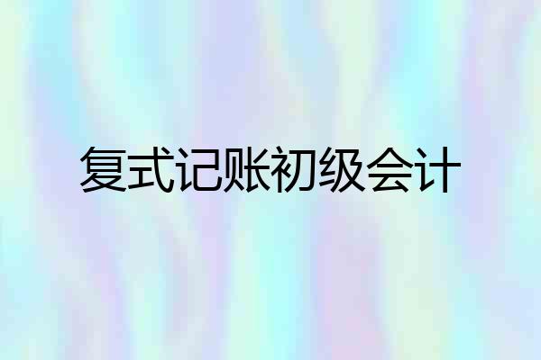 复式记账初级会计