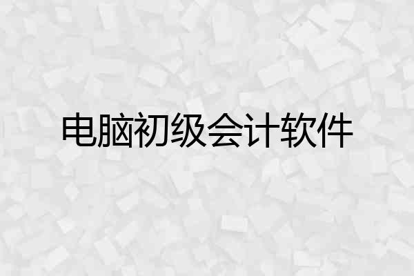 电脑初级会计软件