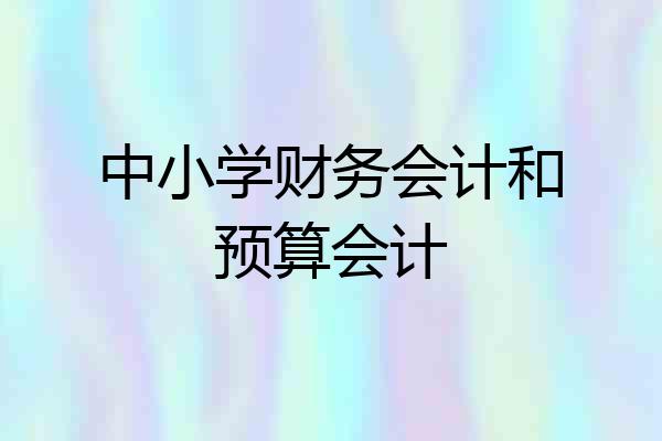 中小学财务会计和预算会计