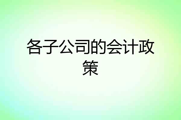 各子公司的会计政策