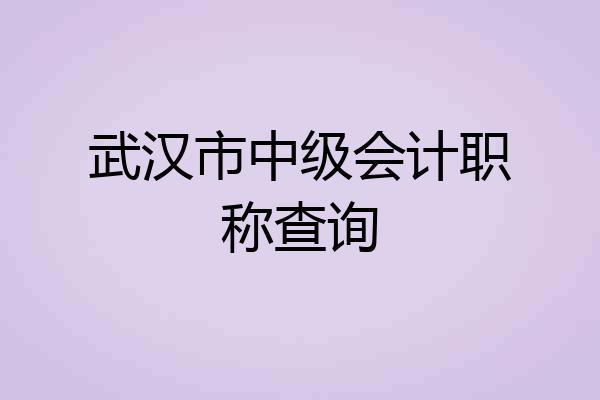 武汉市中级会计职称查询