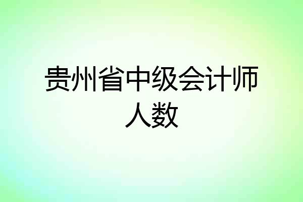贵州省中级会计师人数