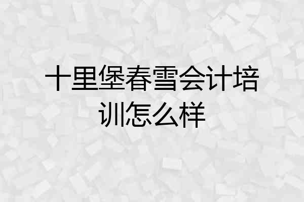 十里堡春雪会计培训怎么样