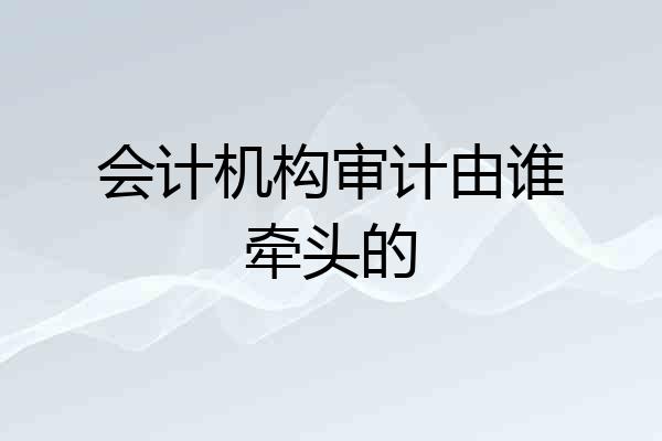 会计机构审计由谁牵头的