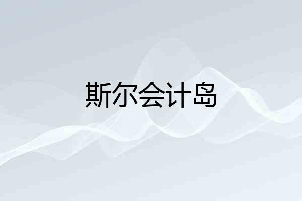 斯尔会计岛