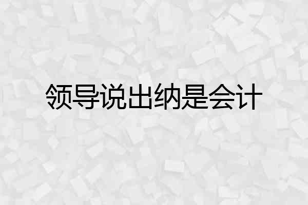 领导说出纳是会计