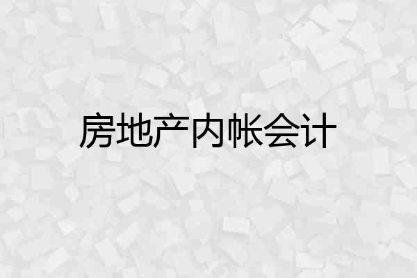 房地产内帐会计