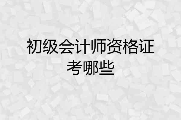 初级会计师资格证考哪些