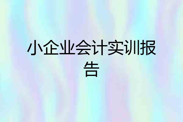 小企业会计实训报告