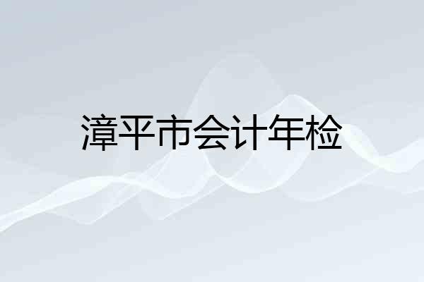 漳平市会计年检