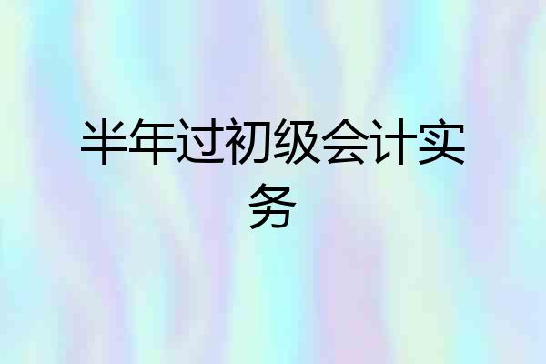 半年过初级会计实务