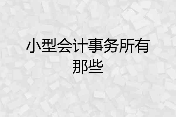 小型会计事务所有那些