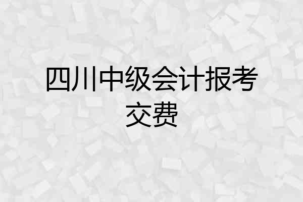 四川中级会计报考交费