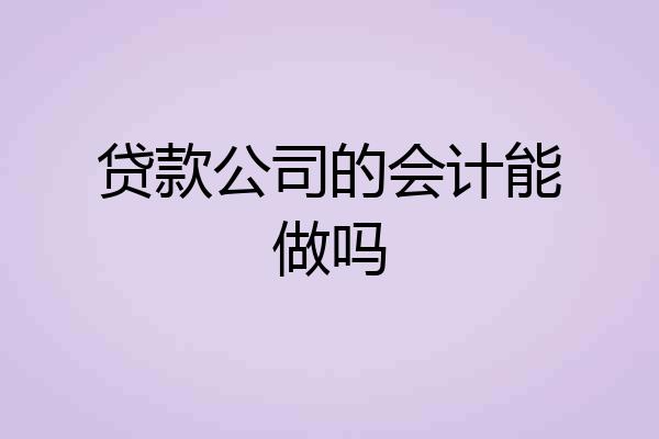 贷款公司的会计能做吗