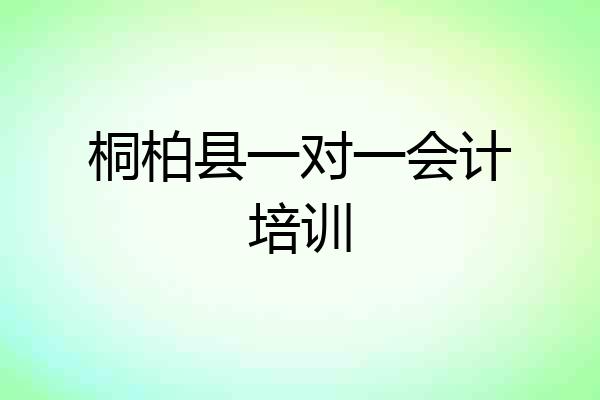 桐柏县一对一会计培训