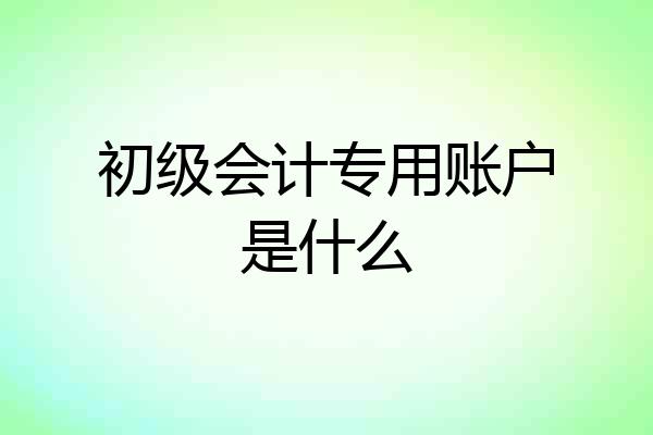 初级会计专用账户是什么