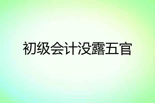 初级会计没露五官