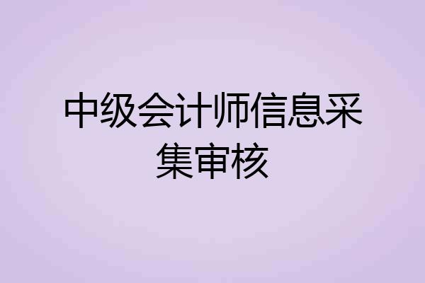 中级会计师信息采集审核