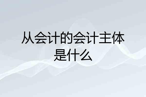 从会计的会计主体是什么