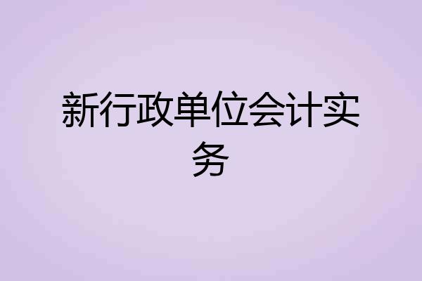 新行政单位会计实务