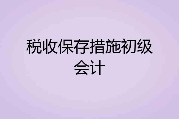 税收保存措施初级会计