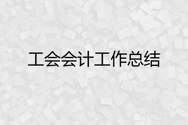 工会会计工作总结