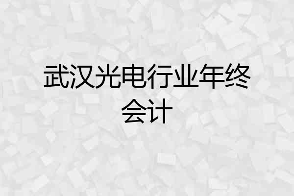 武汉光电行业年终会计
