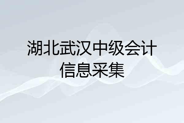 湖北武汉中级会计信息采集