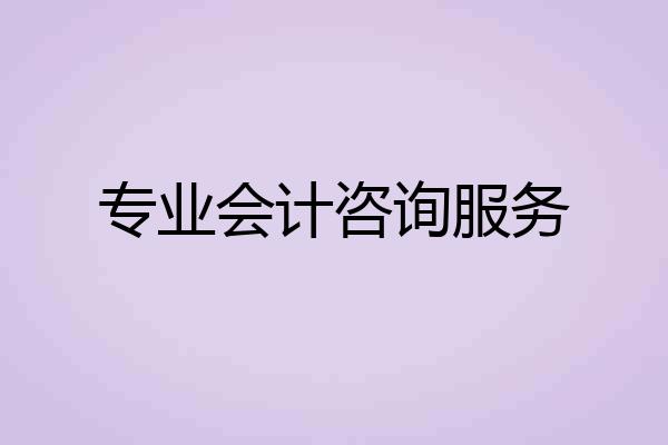 专业会计咨询服务