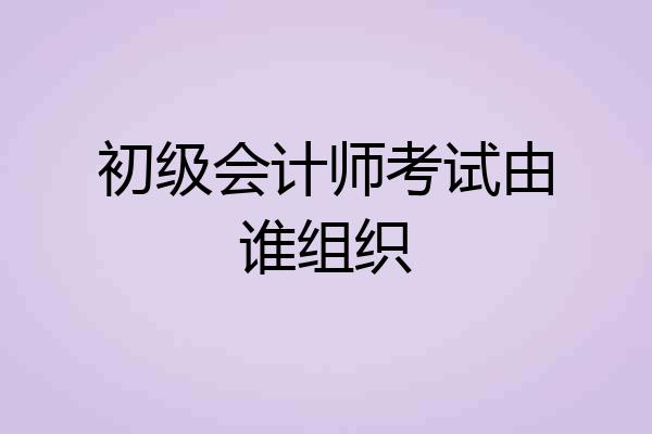 初级会计师考试由谁组织