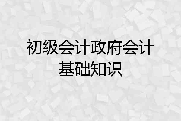初级会计政府会计基础知识