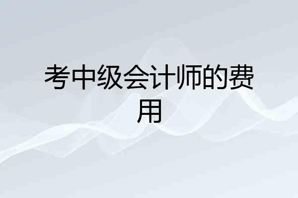 考中级会计师的费用
