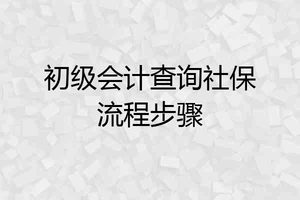 初级会计查询社保流程步骤