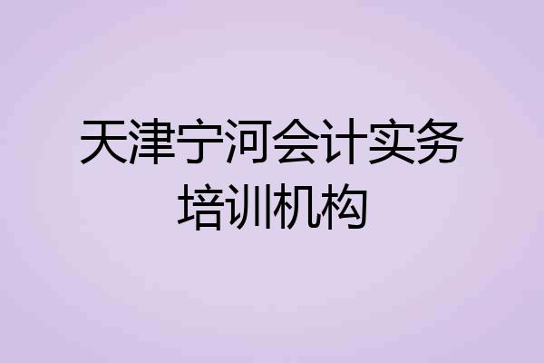 天津宁河会计实务培训机构