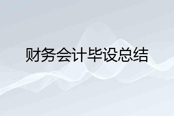 财务会计毕设总结