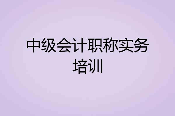 中级会计职称实务培训