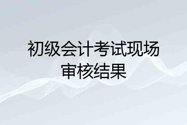 初级会计考试现场审核结果