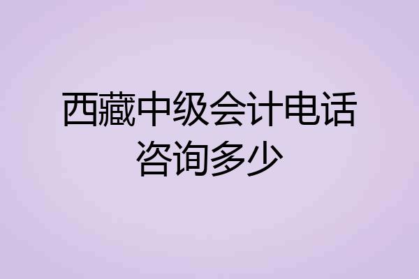西藏中级会计电话咨询多少